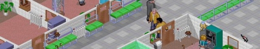 Theme hospital